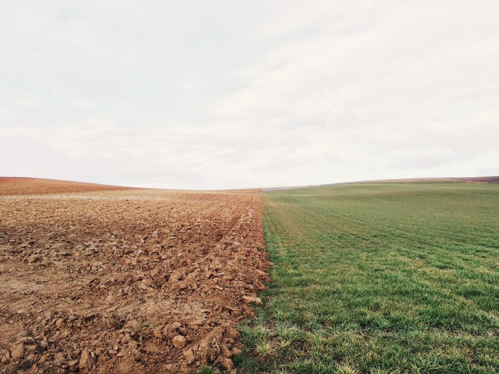 spese notaio terreno agricolo